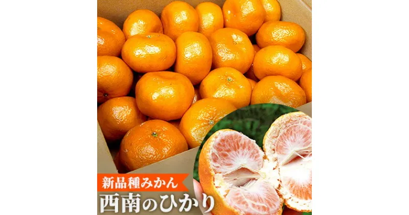 【ふるさと納税】新品種みかん「西南のひかり」約5kg　果物類・柑橘類・みかん・フルーツ　お届け：2024年12月上旬～12月下旬