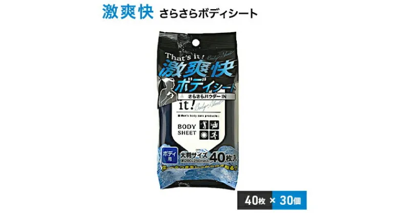 【ふるさと納税】激爽快さらさらボディシート40枚入×30個セット【メンズコスメ】　 美容 雑貨 日用品 携帯用 シート 防災 防災グッズ