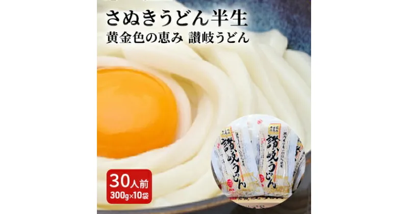 【ふるさと納税】「さぬきうどん半生」 黄金色の恵み 讃岐うどん 30人前 300g×10袋　麺類・うどん・讃岐うどん・30人前