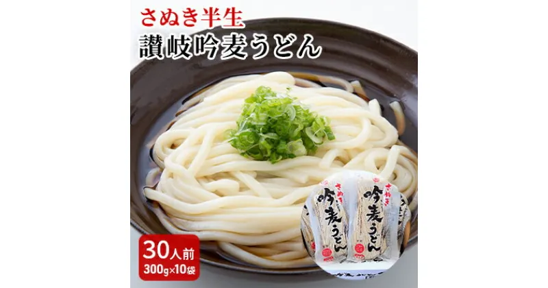 【ふるさと納税】「さぬき半生」 讃岐吟麦うどん 30人前 300g×10袋　麺類・うどん・讃岐吟麦うどん・30人前