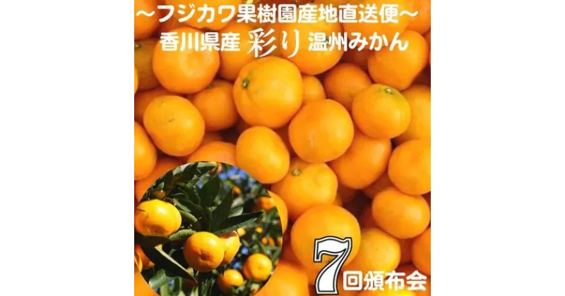 【ふるさと納税】【7回頒布会】～フジカワ果樹園産地直送便～香川県産・彩り温州みかんセット　定期便・ 果物 柑橘 フルーツ 食べ比べ 　お届け：ご寄附（入金）頂いた月の次月回より配送開始となります