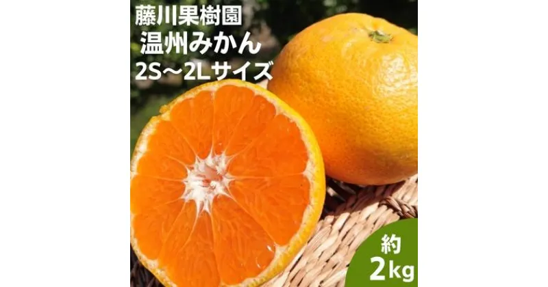 【ふるさと納税】フジカワ温州みかん 約2kg　 果物 柑橘 フルーツ おやつ 間食 デザート 食後 極早生 早生 甘い 食べきりサイズ 冬 秋 　お届け：2024年9月下旬～2024年12月上旬