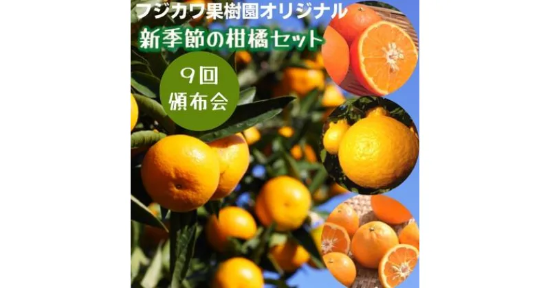 【ふるさと納税】【9回頒布会】フジカワ果樹園オリジナル・新季節の柑橘セット　定期便・ 定期便 食べ比べ 　お届け：ご寄附（入金）頂いた月の次月回より配送開始となります