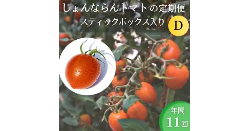 【ふるさと納税】モリヒロ園芸が育てたじょんならんトマトの定期便D　スティックボックス入り（年間11回）　定期便・ 野菜 ミニトマト 甘い フルーツ サラダ 　お届け：ご寄附（入金）頂いた月の翌月回より年間スタート致します