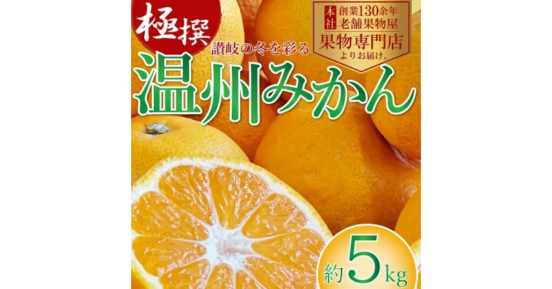 【ふるさと納税】極撰！温州みかん　約5kg　 果物 柑橘 フルーツ 程よい酸味 ジューシー 甘い 国産 日本産 冬の味覚 冬の果物 冬のフルーツ 　お届け：2024年11月中旬～2025年1月下旬