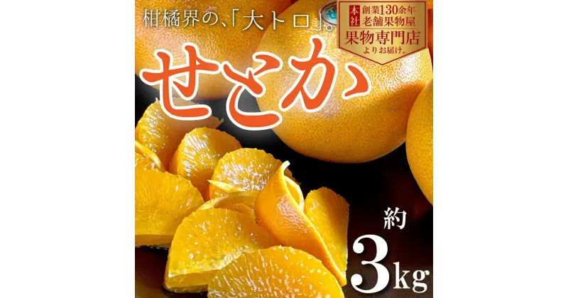 【ふるさと納税】柑橘界の大トロ！せとか　約3kg　 果物 柑橘 フルーツ 国産 日本産 冬の味覚 冬の果物 冬のフルーツ 香川オリジナル品種 観音寺市産 　お届け：2025年2月上旬～3月下旬