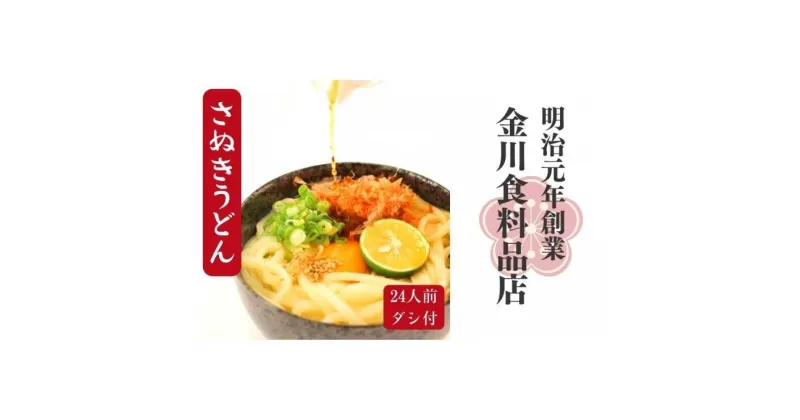 【ふるさと納税】二段熟成半生さぬきうどん 24人前(300g×8袋) だし・うどんつゆ付き(鎌田醤油)