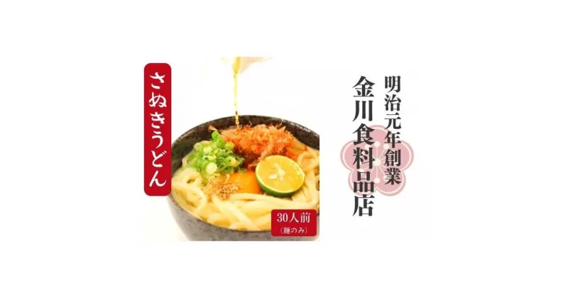 【ふるさと納税】二段熟成半生さぬきうどん 30人前(300g×10袋)