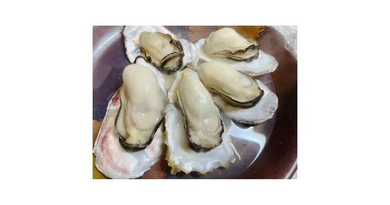 【ふるさと納税】訳あり 大きさ不揃い殻付き牡蠣 4kg (加熱用)【牡蠣 かき 一口サイズ 食べやすい 国産 香川県 さぬき市】