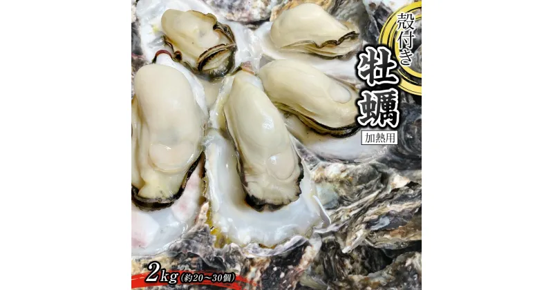 【ふるさと納税】殻付き牡蠣 2kg（加熱用）【牡蠣 かき 一口サイズ 食べやすい 国産 香川県 さぬき市】