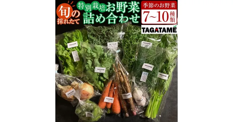 【ふるさと納税】特別栽培 旬の採れたて お野菜 7～10種類詰め合わせセット TAGATAME タガタメ【野菜 特別栽培 栽培期間中農薬不使用 採れたて さぬき市】