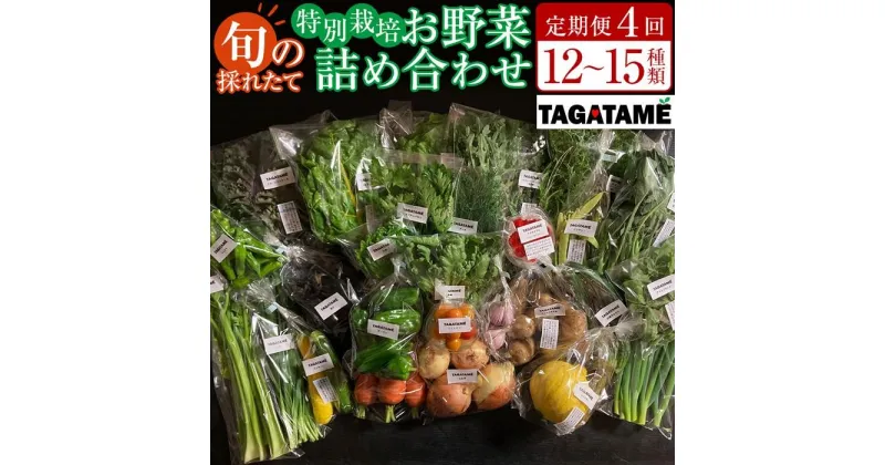 【ふるさと納税】【定期便全4回】旬の採れたて 12～15種類お野菜詰め合わせセット TAGATAME タガタメ【野菜 特別栽培 大容量 栽培期間中農薬不使用 旬 採れたて 香川県 さぬき市】