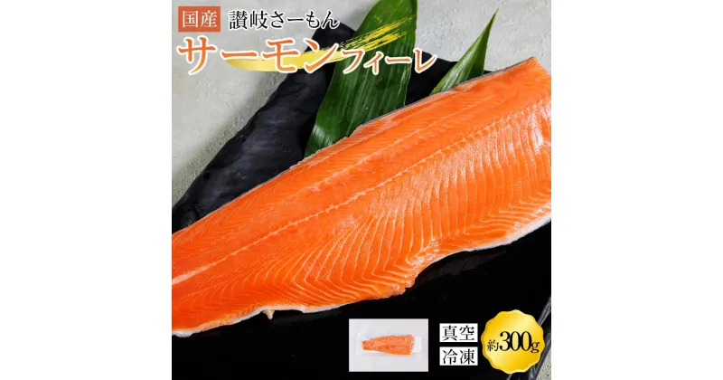 【ふるさと納税】サーモン 冷凍 切り身 300g 生食用 産地直送 小分け【フィーレ 生食 お刺し身 刺身 カルパッチョ レアステーキ 国産 香川県 さぬき市 讃岐 さぬき】