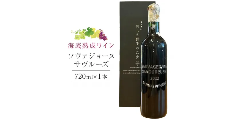 【ふるさと納税】2022ソヴァジョーヌ・サヴルーズ 海底熟成ワイン 720ml×1本【赤ワイン 国産 ワイン 日本ワイン 酒 ぶどう 葡萄 香川県 さぬき市 さぬきワイナリー】