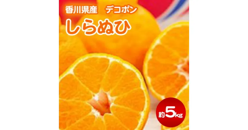 【ふるさと納税】しらぬひ 約5kg デコポン　果物類 みかん 柑橘類 デコポン フルーツ　お届け：2025年3月上旬～4月上旬