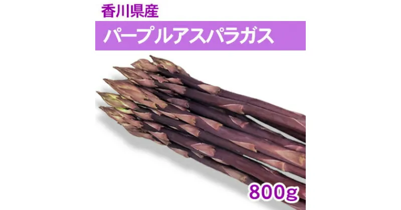 【ふるさと納税】パープルアスパラガス 800g　アスパラガス 野菜 野菜セット　お届け：2025年3月上旬～9月下旬