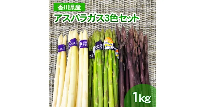 【ふるさと納税】アスパラガス3色セット 1kg　アスパラガス 野菜 野菜セット　お届け：2025年3月上旬～9月下旬