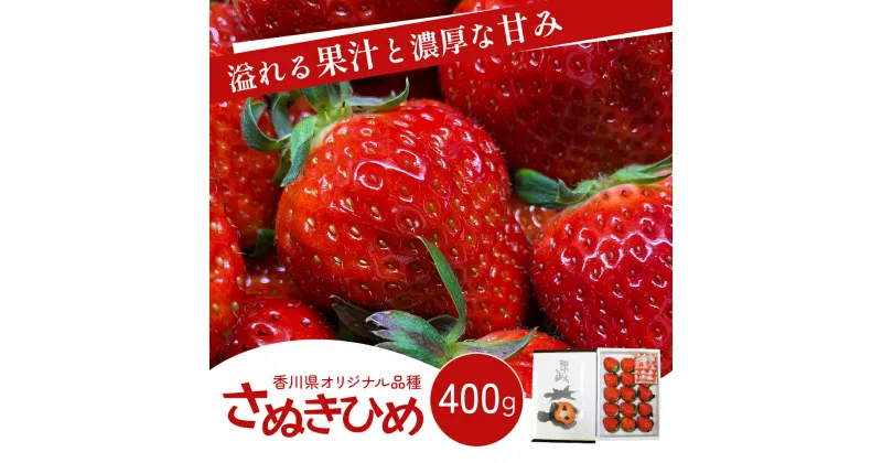 【ふるさと納税】いちご 香川県オリジナル品種 さぬきひめ 400g 香川県産 化粧箱 年内受付 苺 イチゴ フルーツ 果物 くだもの 旬のフルーツ 旬の果物 大粒 採れたて 冷蔵 香川 香川県 東かがわ市　お届け：2024年11月20日～2025年1月20日