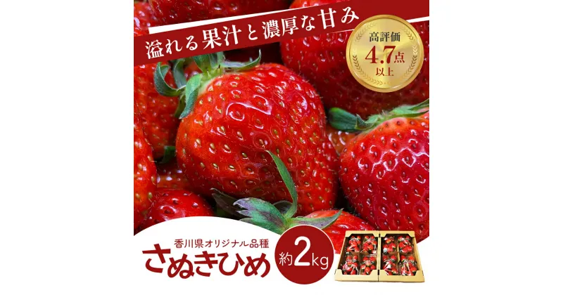 【ふるさと納税】《高評価》 香川県オリジナル品種！ いちご【さぬきひめ】2kg（ フルーツ 果物類 苺 さぬき姫 取り寄せ 糖度 甘い 農園 特産品 秀品 大粒 デザート 人気 ストロベリー 冷蔵便 ）　 香川県東かがわ市 　お届け：2025年1月下旬～6月上旬