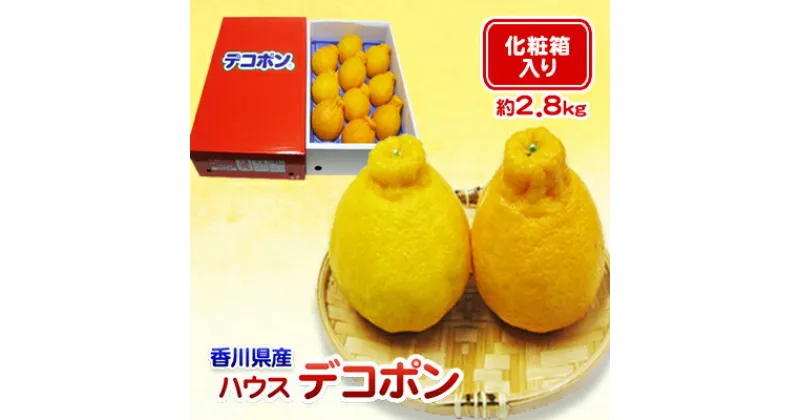 【ふるさと納税】ハウスデコポン 2.8kg 化粧箱 香川県産 デコポン でこぽん フルーツ 果物 くだもの 旬のフルーツ 旬の果物 柑橘 柑橘類 ハウス みかん ハウスみかん 香川 香川県 東かがわ市　お届け：2024年12月15日～2025年2月28日