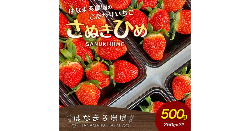 【ふるさと納税】いちご はなまる農園 こだわりいちご さぬきひめ 500g 香川県産 苺 イチゴ フルーツ 果物 くだもの 旬のフルーツ 旬の果物 香川 香川県 東かがわ市　お届け：2025年1月20日～5月中旬