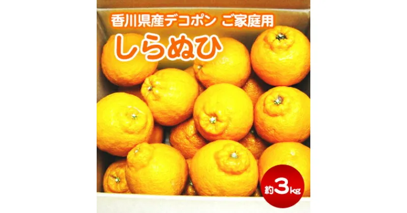 【ふるさと納税】ご家庭用しらぬひ 約3kg デコポン　フルーツ 果物類 みかん 柑橘類 デコポン　お届け：2025年3月上旬～4月上旬