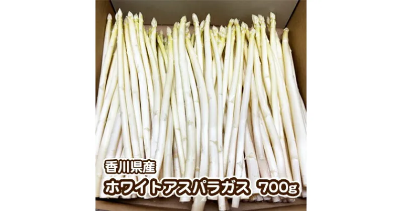 【ふるさと納税】ご家庭用ホワイトアスパラガス　約700g　野菜 野菜セット アスパラガス ご家庭用 ホワイトアスパラガス 約700g アスパラ　お届け：2025年3月上旬～9月下旬