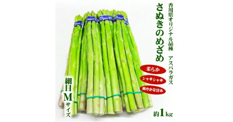 【ふるさと納税】アスパラガス【さぬきのめざめ】Mサイズ1kg　野菜　お届け：2025年2月下旬～5月下旬