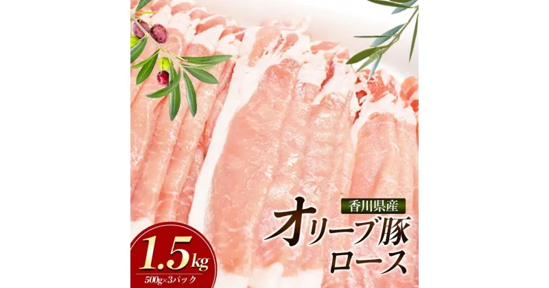 【ふるさと納税】香川県産オリーブ豚　1500g　小分け（500g×3）「5月発送または8月発送または11月発送」　 お肉 豚肉 ロース しゃぶしゃぶ オリーブ 香川県産 赤身 うま味 さっぱり 料理 美味しい スライス 　お届け：2024年5月6日～2024年11月30日