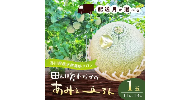 【ふるさと納税】田んぼ屋たなかの「あみぇ～ろん」　配送月をお選びください「4月下旬～5月上旬」または「12月上旬～12月下旬」　果物類・フルーツ・果物・詰合せ・セット・フルーツ・果物類・メロン青肉　お届け：4月下旬～5月上旬または12月上旬～12月下旬