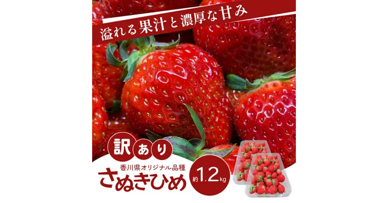 【ふるさと納税】訳あり さぬきひめ 1.2kg 香川県産 苺 イチゴ フルーツ 果物 くだもの 旬のフルーツ 旬の果物 不揃い ジャム 加工 加工食品 訳アリ 香川 香川県 東かがわ市　お届け：2024年12月下旬～2025年6月上旬