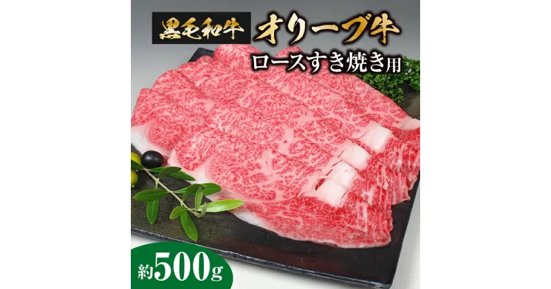 【ふるさと納税】黒毛和牛オリーブ牛ロースすき焼き用　約500g 29000円