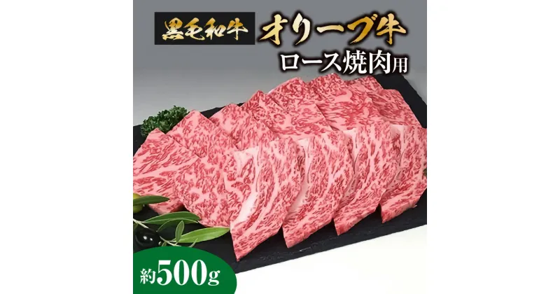 【ふるさと納税】黒毛和牛オリーブ牛ロース焼肉用　約500g 29000円