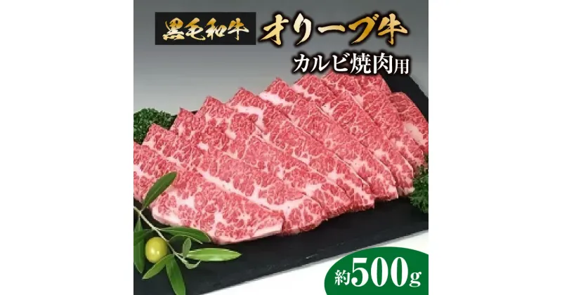 【ふるさと納税】黒毛和牛オリーブ牛　カルビ焼肉用　約500g 20000円