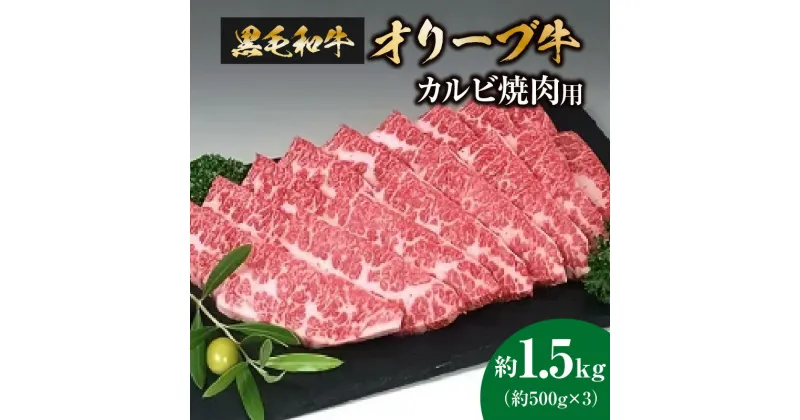 【ふるさと納税】黒毛和牛オリーブ牛　カルビ焼肉用　約500g×3 ブランド牛 柔らかい肉質 BBQ 小分け 冷凍 59000円