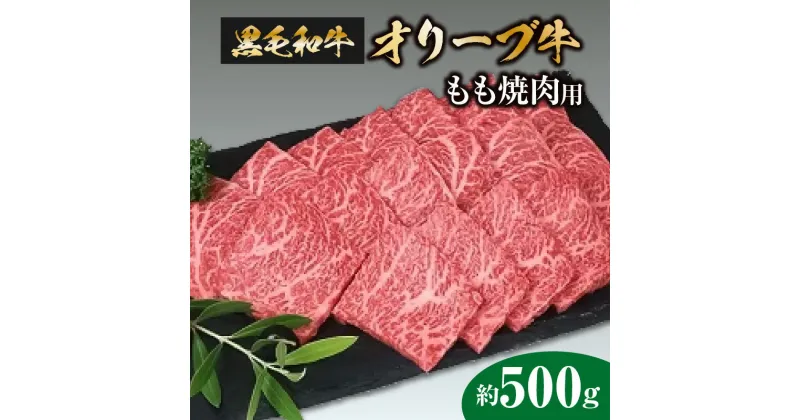 【ふるさと納税】黒毛和牛 オリーブ牛 もも焼肉用 約500g 讃岐牛 赤身 柔らかい肉質 BBQ バーベキュー 焼肉 モモ肉 オリーブ オレイン酸 冷凍 牛肉 お肉 送料無料 国産 食品 グルメ お取り寄せ お取り寄せグルメ 逸品 和牛 17000円