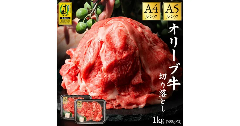 【ふるさと納税】黒毛和牛 オリーブ牛 切り落とし 約1kg (約500g×2) 讃岐牛 すき焼き しゃぶしゃぶ 焼肉 オレイン酸 冷凍 小分け ブランド牛 小間 牛肉 お肉 送料無料 国産 食品 グルメ お取り寄せ お取り寄せグルメ 一押し 送料無料 18000円 A4 A5 牛肉　切り落とし