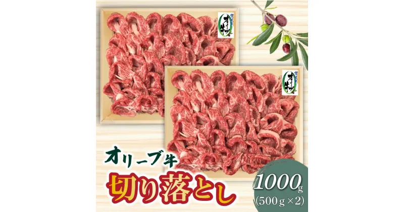 【ふるさと納税】オリーブ牛切り落とし500g×2P 讃岐牛 すき焼き しゃぶしゃぶ 焼肉 オレイン酸 冷凍 33000円