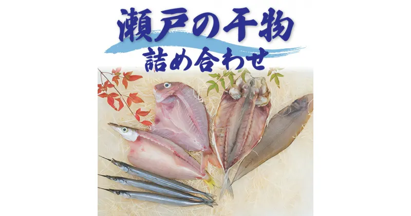 【ふるさと納税】瀬戸の干物詰め合わせ