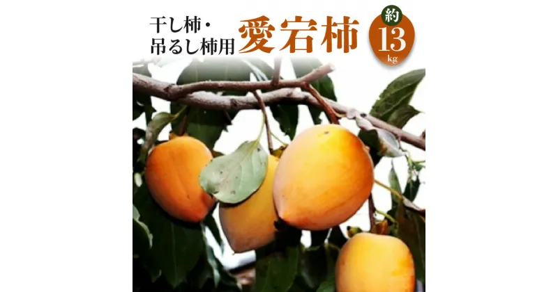 【ふるさと納税】【先行予約】 干し柿・吊るし柿用 「愛宕柿」約13kg 15000円 柿 カキ かき kaki 直送 新鮮 旬 オーガニック 健康効果 保存方法 美容効果 栄養価 送料無料 フルーツ 果物 お取り寄せグルメ 御取り寄せ 御取り寄せグルメ　詰め合わせ 詰合せ 詰合わせ