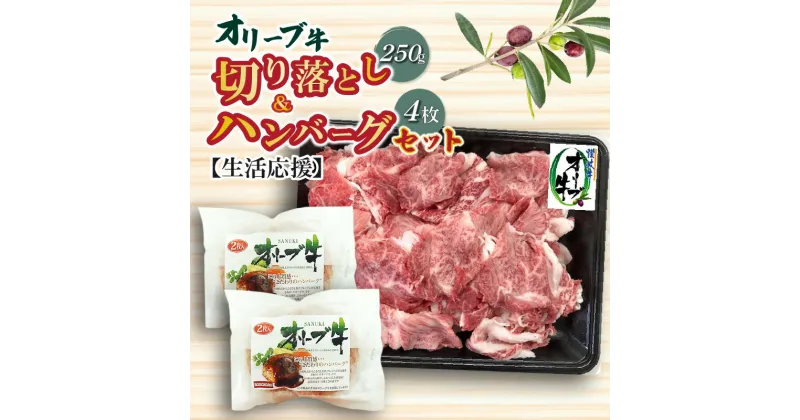 【ふるさと納税】生活応援 オリーブ牛 切り落とし 250g ハンバーグ 100g×4枚 ハンバーグソース 20g 4袋 セット 讃岐牛 肉 牛肉 赤味肉 冷凍 お土産 ギフト 香川県 三豊市 お取り寄せグルメ お取り寄せ 送料無料 11000円