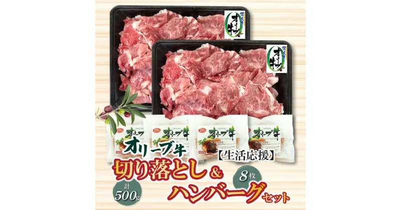 【ふるさと納税】生活応援 オリーブ牛 切り落とし 500g ＆ ハンバーグ 8枚セット 讃岐牛 赤身 セット 22000円