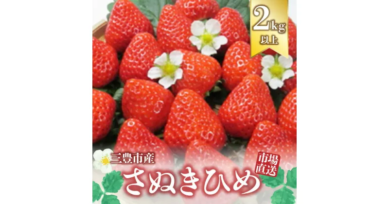 【ふるさと納税】【2025年出荷】【配送不可地域：北海道・沖縄県・離島】三豊市産【市場直送　さぬきひめ　2.0kg以上】 25000円