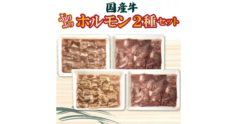 【ふるさと納税】国産牛ぷりぷりホルモン二種セット 食べ比べ 小腸 アカセンマイ 焼肉 もつ鍋 22000円