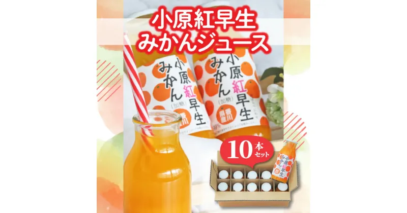 【ふるさと納税】小原紅早生みかんジュース10本セット 11000円