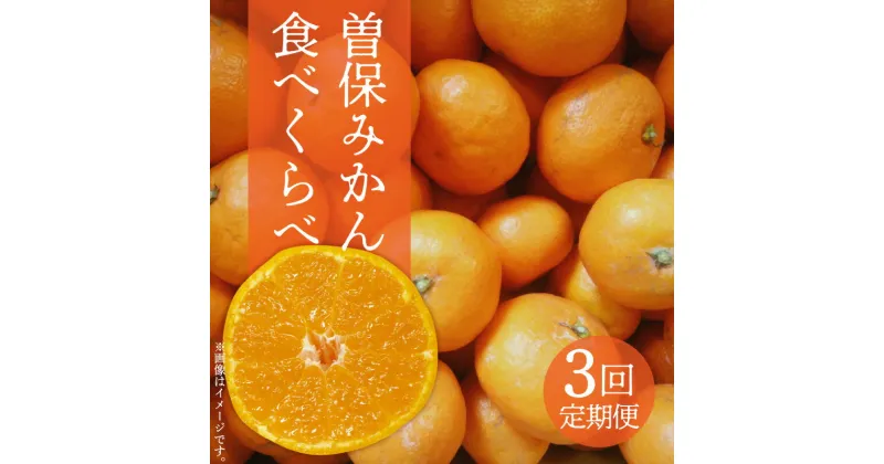 【ふるさと納税】曽保みかん食べくらべ（3回定期便） 42000円 みかん 3kg 5kg 13kg お取り寄せ 国産 旬 新鮮 産地直送 高級 詰め合わせ 詰合せ 詰合わせ フルーツ 定期便 フルーツ定期便 果物 果物定期便 定期 ふるさと納税 フルーツ 定期便 フルーツ定期便 果物