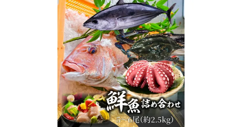 【ふるさと納税】【配送不可地域：北海道・東北・沖縄県・離島】鮮魚詰め合わせ 5～6尾（約2.5kg） 18000円