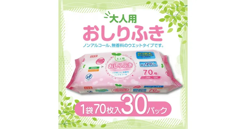 【ふるさと納税】LD-213 大人用 おしりふき（70枚）×30パック 日用品 13000円