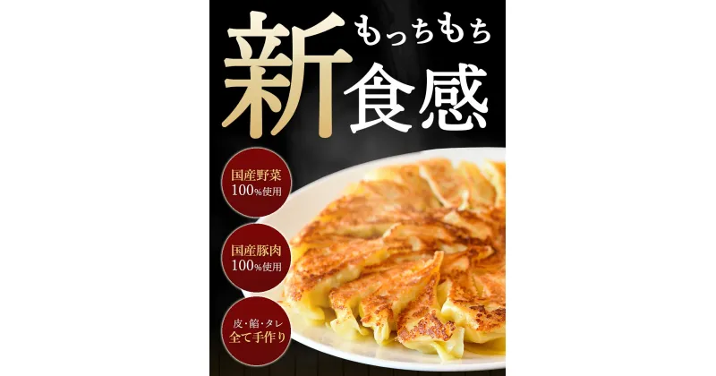 【ふるさと納税】生パスタ生地で包んだ正統派の餃子「ラビオリ餃子」30個入り×2ケース（特製タレ3本付き）【冷凍】父の日 15000円