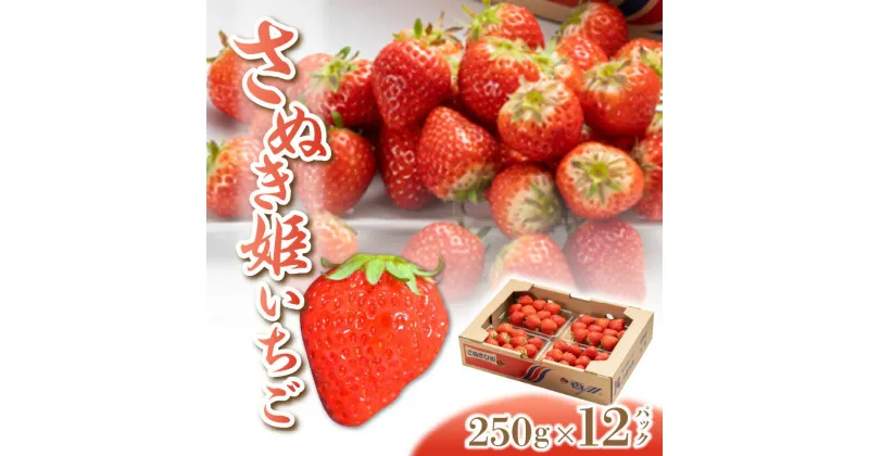 【ふるさと納税】【2025年出荷】【配送不可地域：北海道・沖縄県・離島】フルーツ 果物 果実 さぬき姫 いちご 250g 12パック オリジナル品種 デザート スイーツ 甘い 果汁 食品 国産 香川県 三豊市 お取り寄せ お取り寄せグルメ ギフト プレゼント 送料無料 26000円